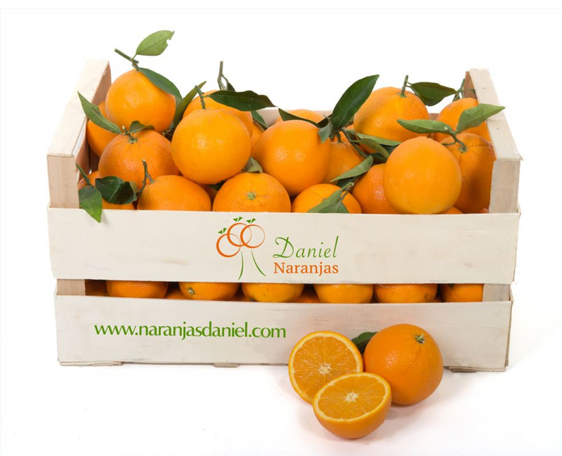 Naranjas Mesa Barnfield Late Navel